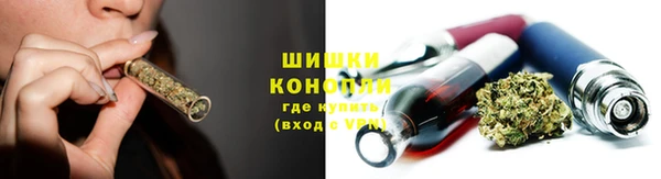 гашик Надым