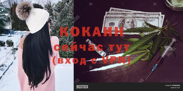 мдпв Навашино