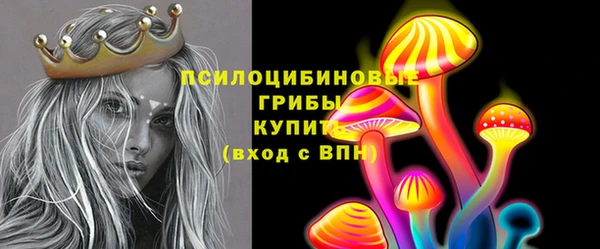 мдпв Навашино