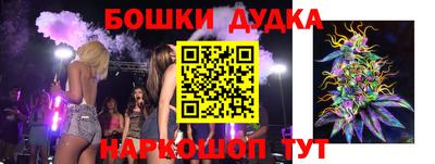 молекула духа Будённовск