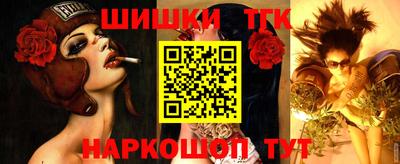 молекула духа Будённовск