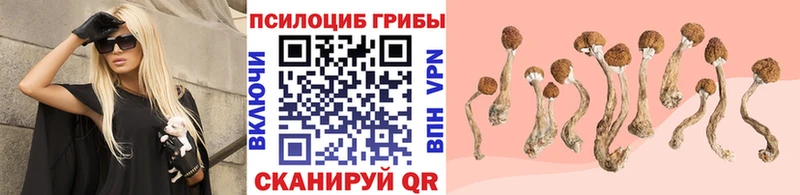МЕГА ССЫЛКА  Зеленогорск  Галлюциногенные грибы Magic Shrooms 