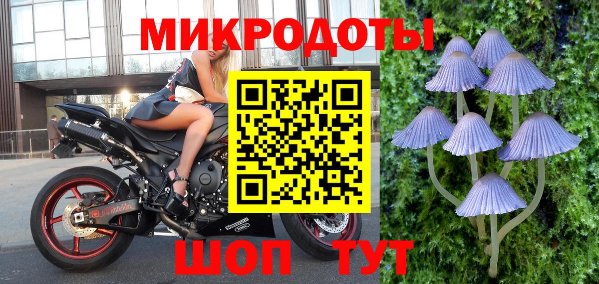 Галлюциногенные грибы прущие грибы Зеленогорск