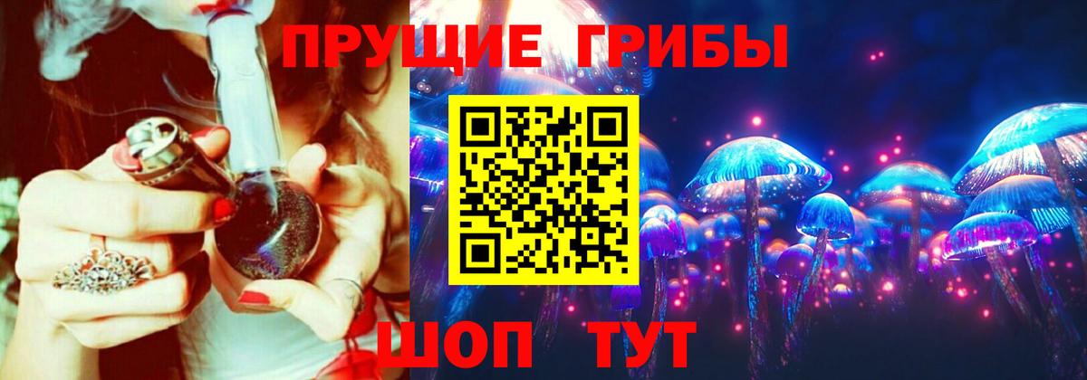 где купить наркотик  Вход с VPN  Зеленогорск  Псилоцибиновые грибы Psilocybe 