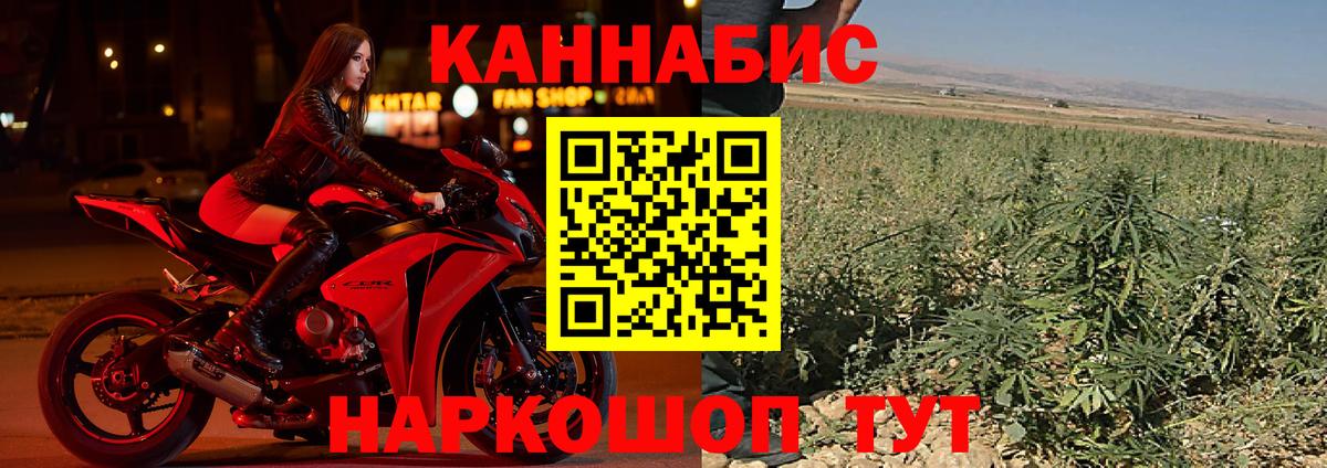 Шишки марихуана марихуана  Зеленогорск  Шишки марихуана сатива 