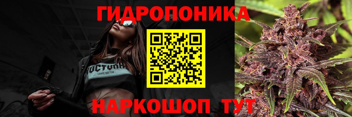 МАРИХУАНА White Widow Зеленогорск